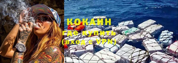 трава Новокубанск