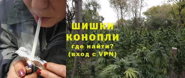 трава Новокубанск