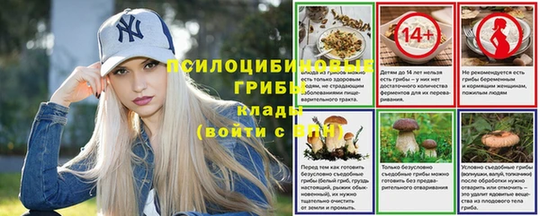 трава Новокубанск