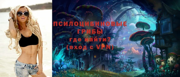 трава Новокубанск