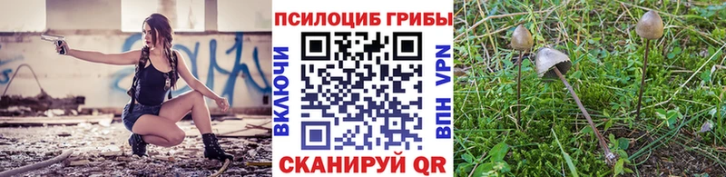 Псилоцибиновые грибы Cubensis  ссылка на мегу зеркало  Адыгейск 