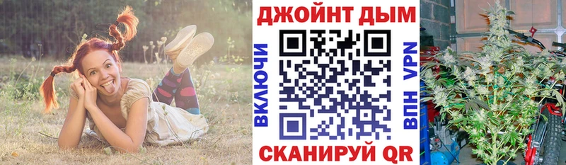 купить наркотик  кракен рабочий сайт  Каннабис Amnesia  Адыгейск 